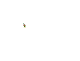 Rajdarbar Realty